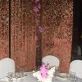 DSC07908.jpg